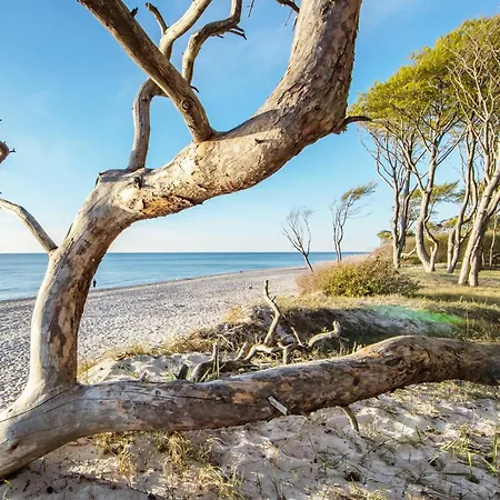 公寓 Seebadperle - 5 Sterne - Exklusives Ambiente Zwischen Ostsee Und Bodden *